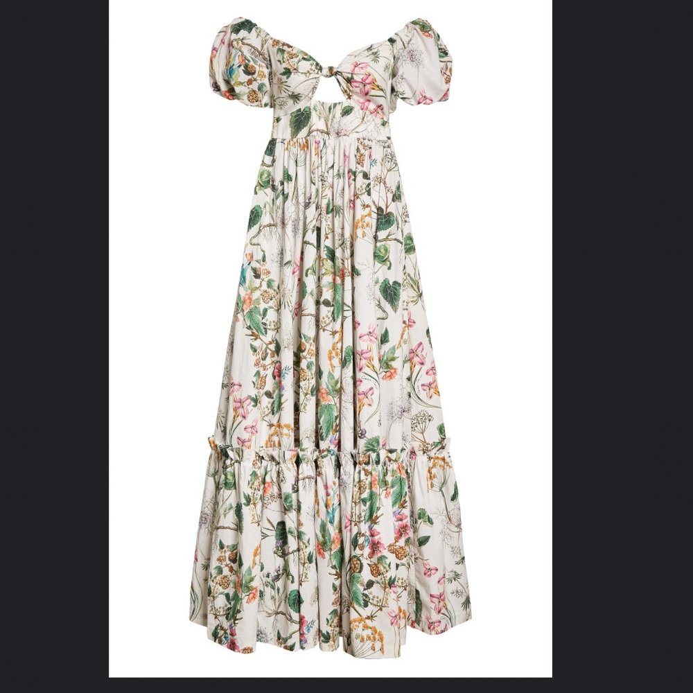 Cara Cara Peyton Gown Maxi Dress Whimsical Ivory - Picture 5 of 5